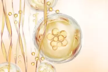 PRGF Therapy for Hair Restoration: What Patients Should Know